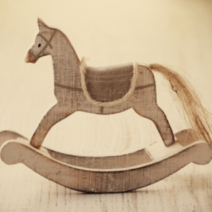 SR EXIM global export portfolio – Agro products exporter in India